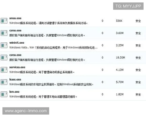 多米体育网址官方地址常见故障排查，帮助用户快速解决访问问题