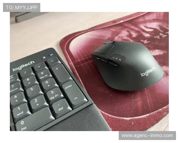 如何快速找到MK体育官网地址，确保游戏体验流畅无忧的详细操作指南