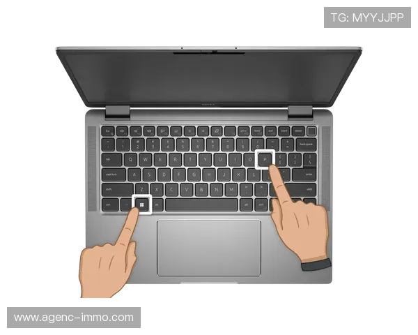 尊龙官网网页版登录遇到问题怎么办详细解决方案与常见问题解答