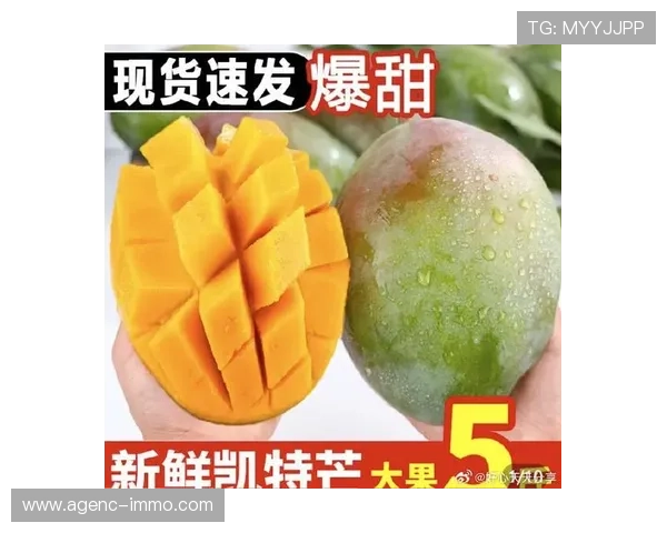 芒果体育奇异果体育如何助力体育赛事的推广与品牌合作 芒果体育奇异果体育如何助力体育赛事的推广与品牌合作