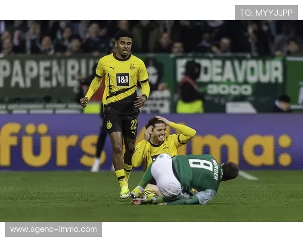 中欧体育在线登录入口安全登录技巧与账号保护措施，保障您的游戏资产安全